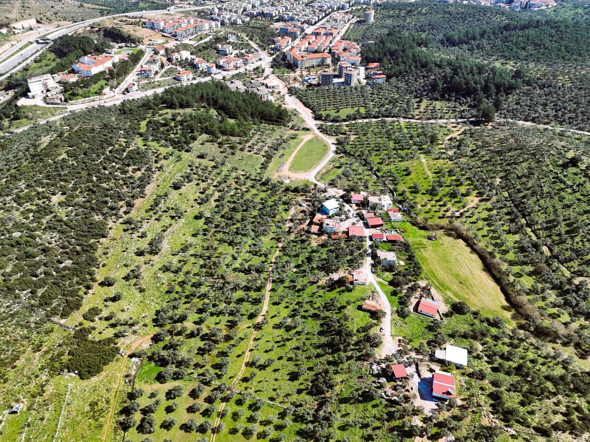 Milas Burgaz’da İmara Komşu 8.815 M² Yatırımlık Arazi - Görsel 8