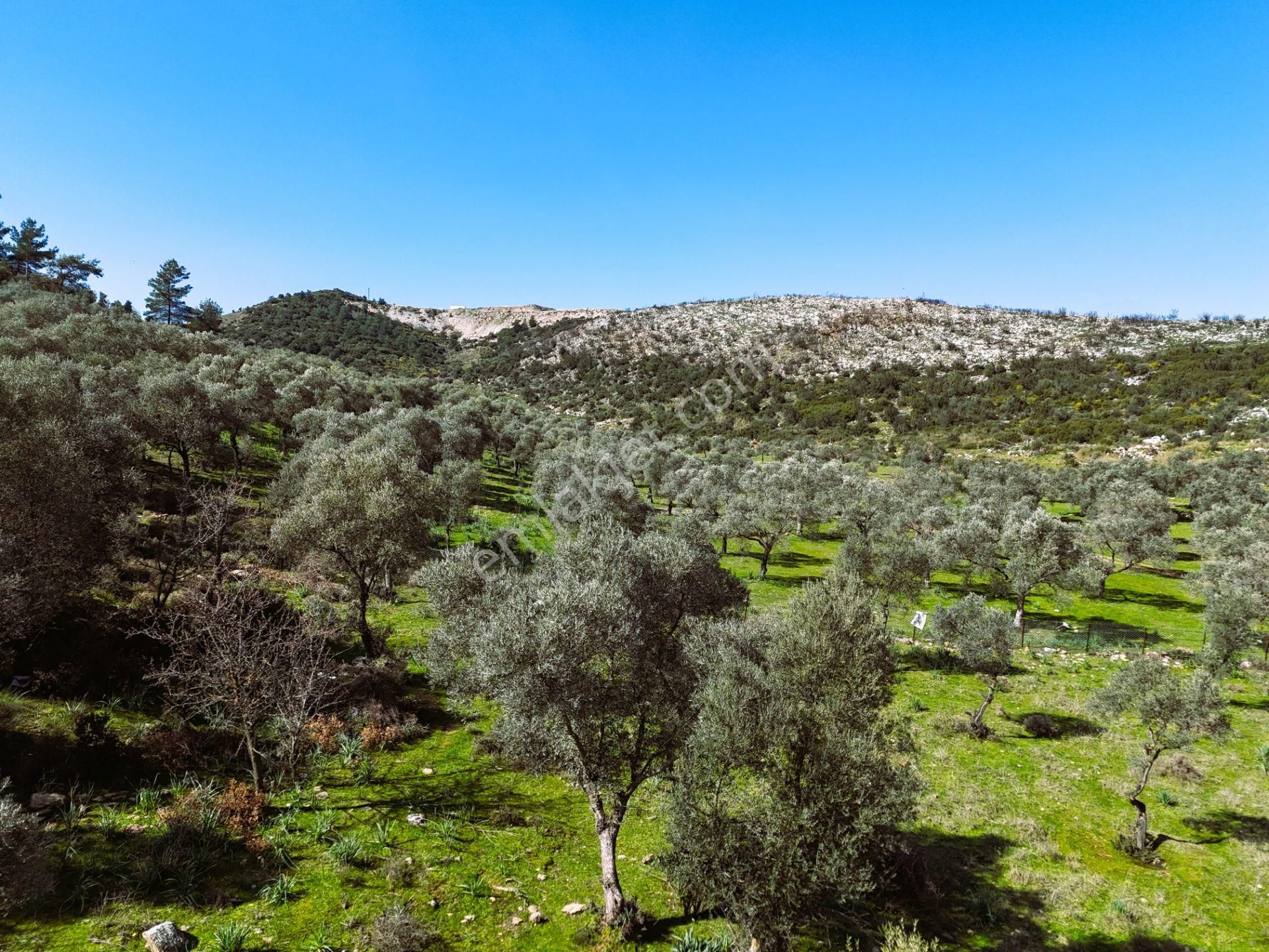 Milas Burgaz’da İmara Komşu 8.815 M² Yatırımlık Arazi - Görsel 19