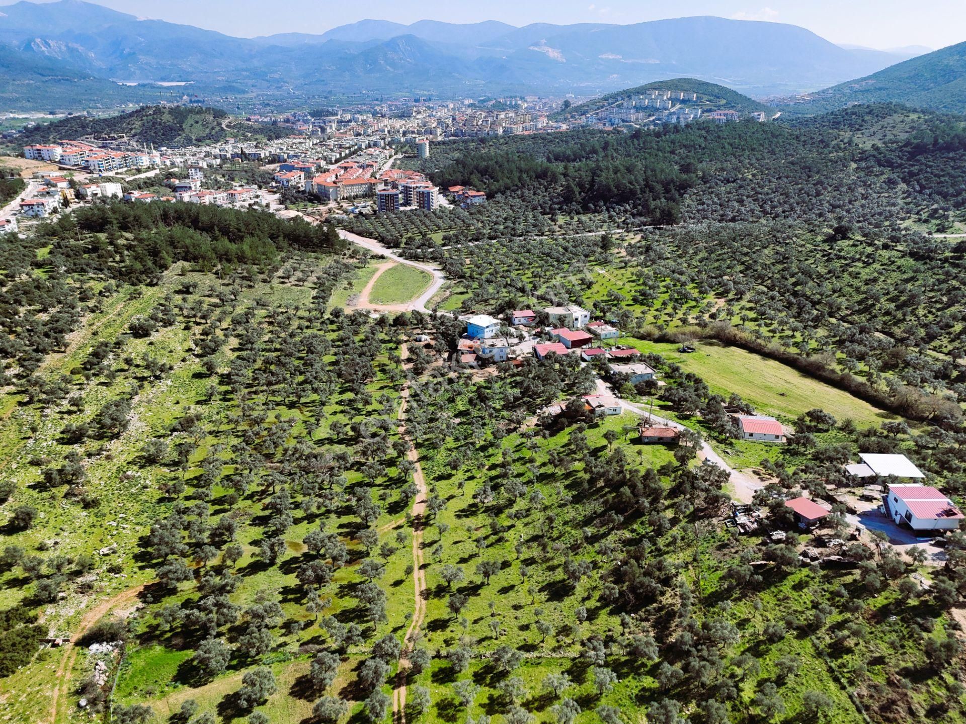 Milas Burgaz’da İmara Komşu 8.815 M² Yatırımlık Arazi - Görsel 5