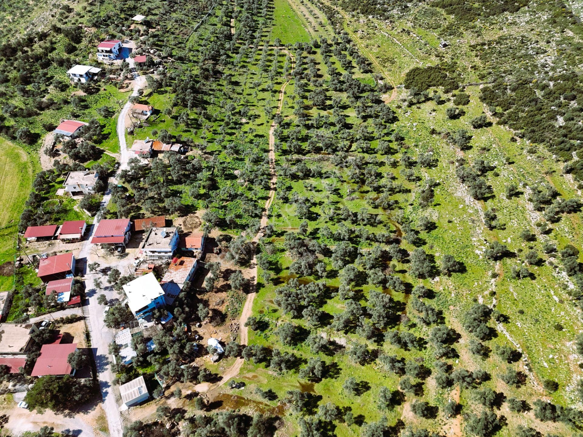 Milas Burgaz’da İmara Komşu 8.815 M² Yatırımlık Arazi - Görsel 14