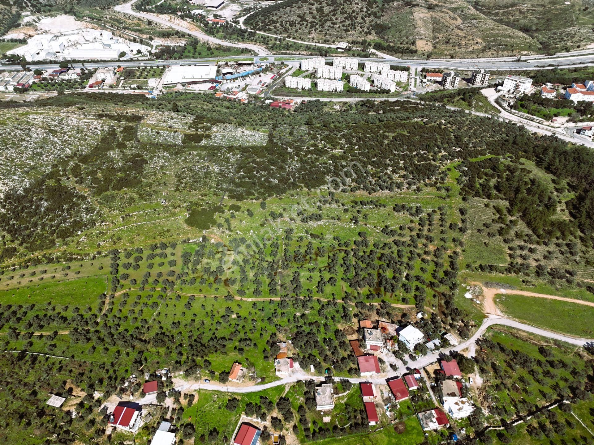 Milas Burgaz’da İmara Komşu 8.815 M² Yatırımlık Arazi - Görsel 11