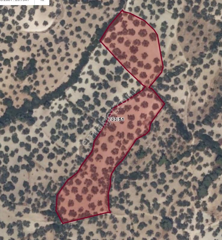 Ayvalık Gazıkemalpaşa Mahallesınde Satılık 12.512 Metrekare Zeytınlık - Görsel 5