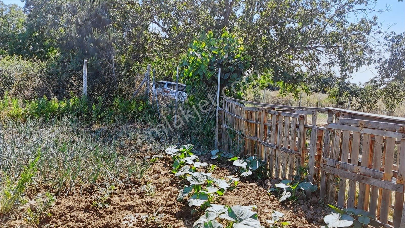 Kayapada Resmi Kadastro Yoluna Cephe 170 M2 Kiralık Hobi Bahçesi - Görsel 21