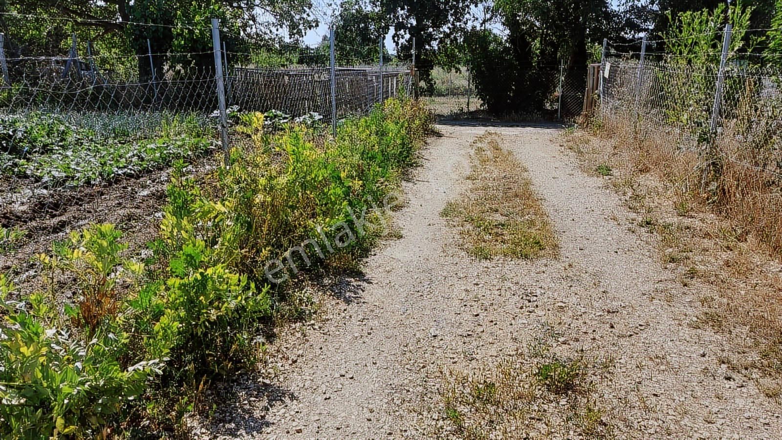 Kayapada Resmi Kadastro Yoluna Cephe 170 M2 Kiralık Hobi Bahçesi - Görsel 20