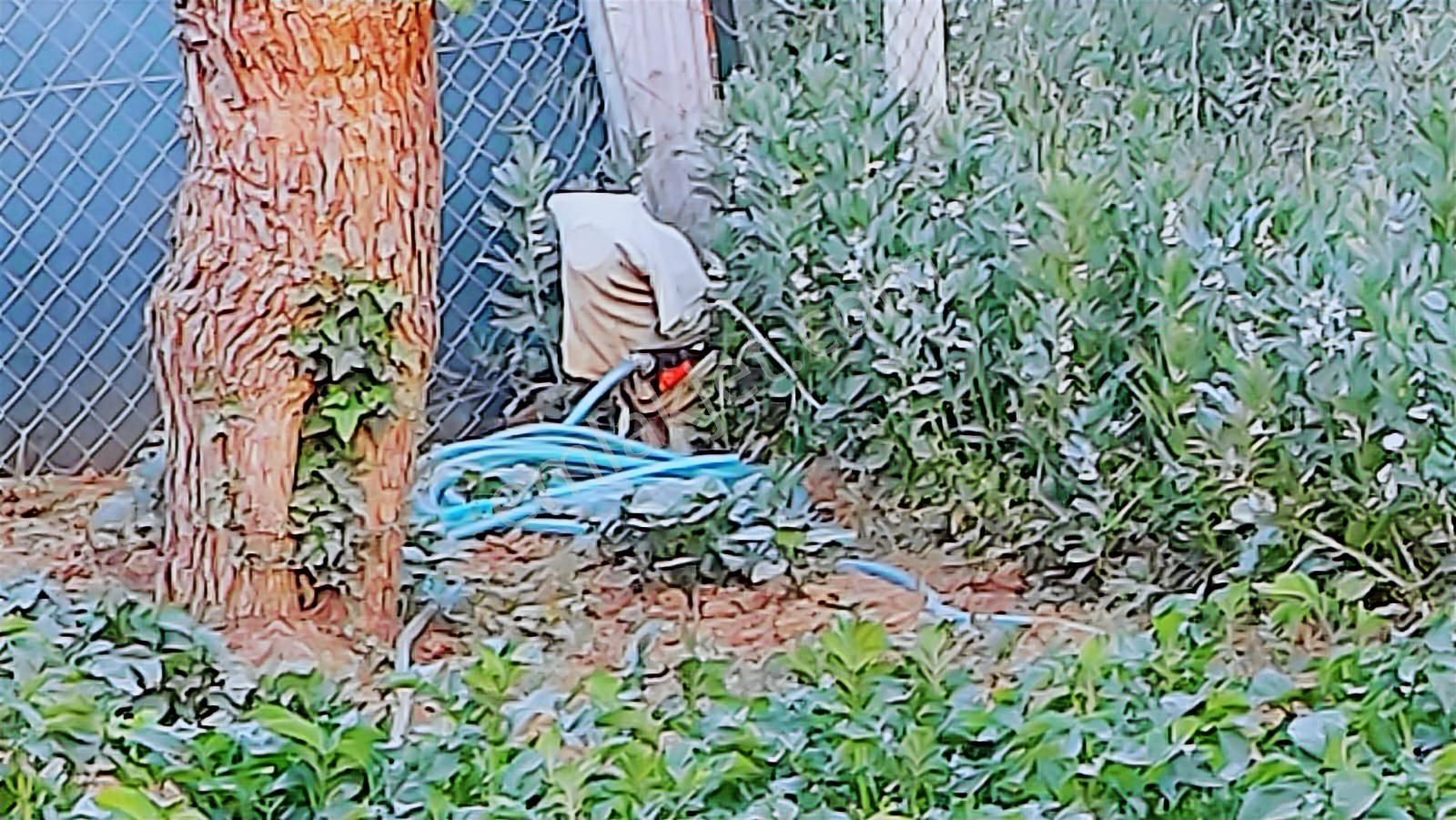 Kayapada Resmi Kadastro Yoluna Cephe 170 M2 Kiralık Hobi Bahçesi - Görsel 19