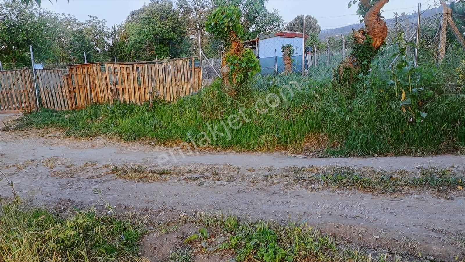 Kayapada Resmi Kadastro Yoluna Cephe 170 M2 Kiralık Hobi Bahçesi - Görsel 28