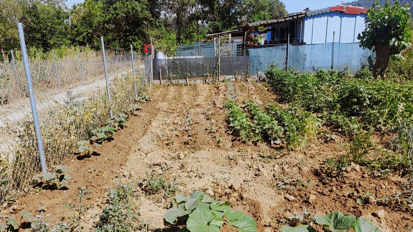 Kayapada Resmi Kadastro Yoluna Cephe 170 M2 Kiralık Hobi Bahçesi - Görsel 9