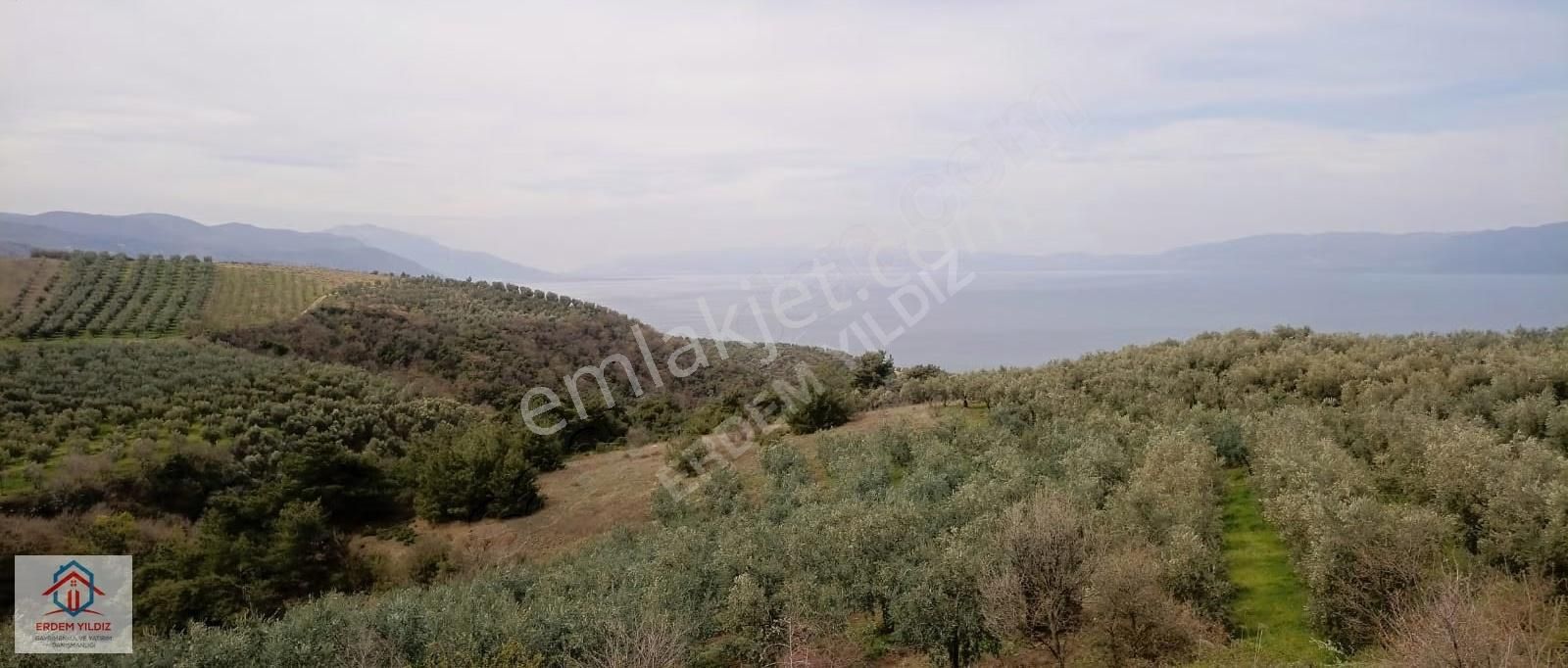 Erdem Yıldız'dan İznik Aydınlar'da 6.130 M² Göl Manzaralı Tarla - Görsel 5