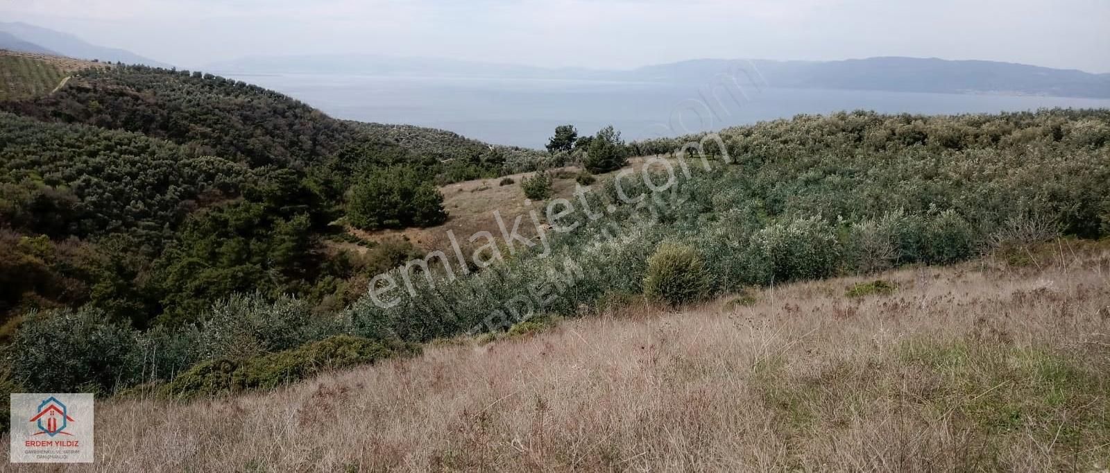 Erdem Yıldız'dan İznik Aydınlar'da 6.130 M² Göl Manzaralı Tarla - Görsel 4