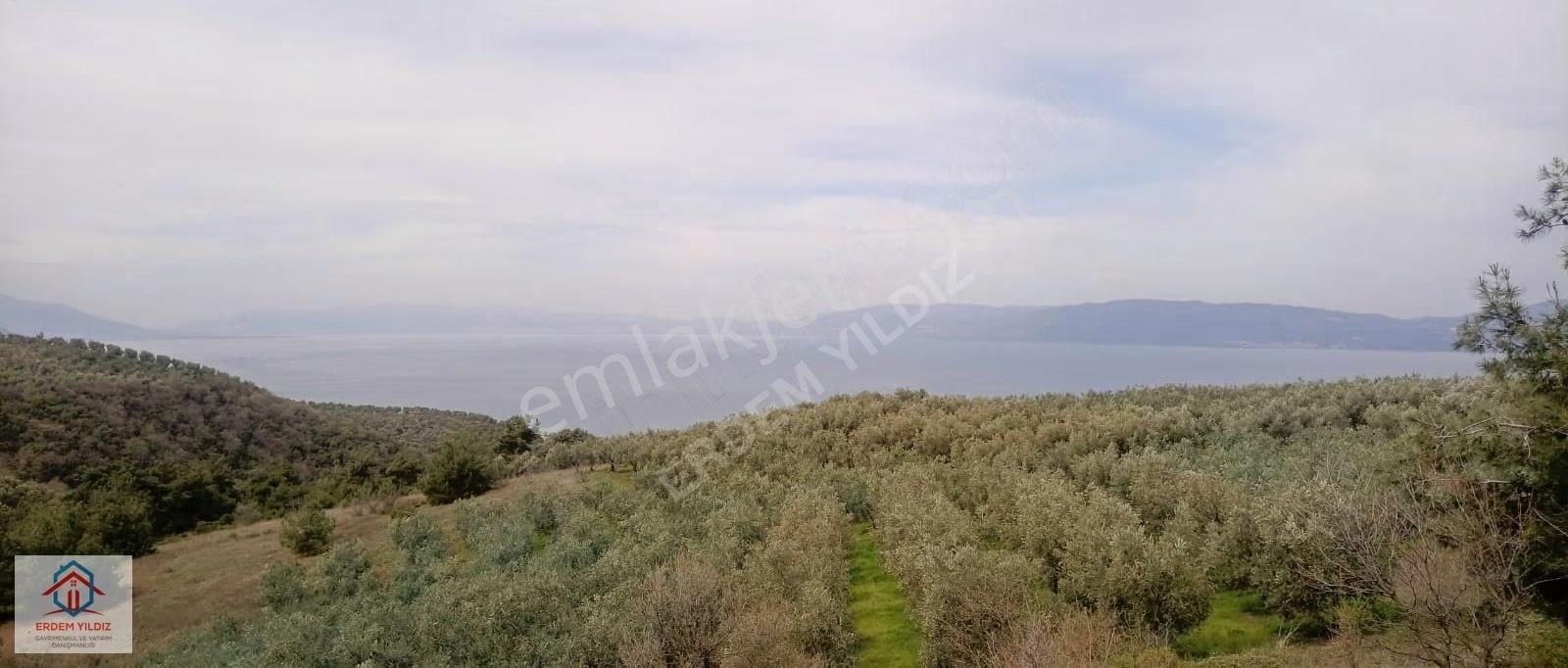 Erdem Yıldız'dan İznik Aydınlar'da 6.130 M² Göl Manzaralı Tarla - Görsel 3