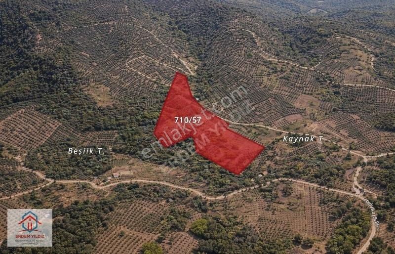 Erdem Yıldız'dan İznik Aydınlar'da 6.130 M² Göl Manzaralı Tarla