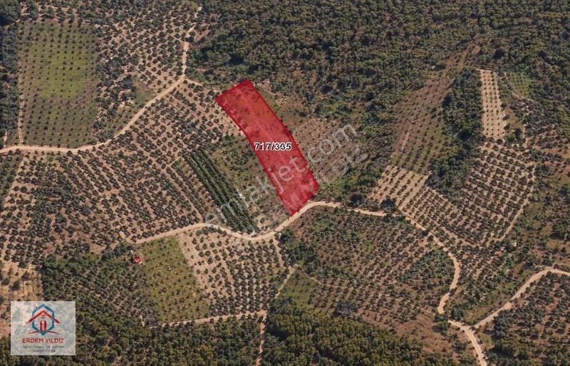 Erdem Yıldız'dan İznik Aydınlar'da 3.253 M² Fırsat Tarla