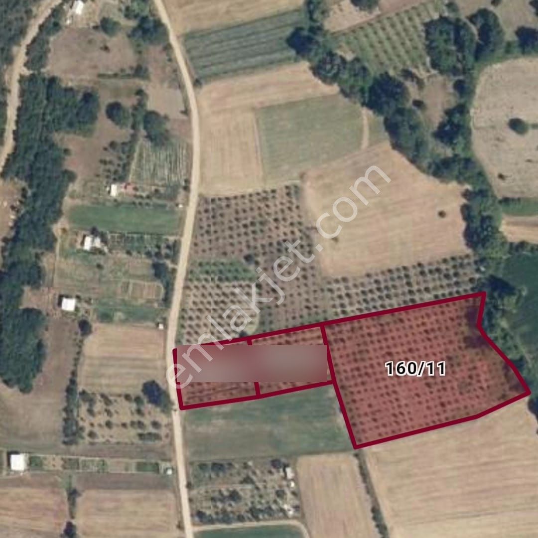 Özlem Emlaktan Satılık Tarlalar (burcun Mah.- Yenişehir) - Görsel 5