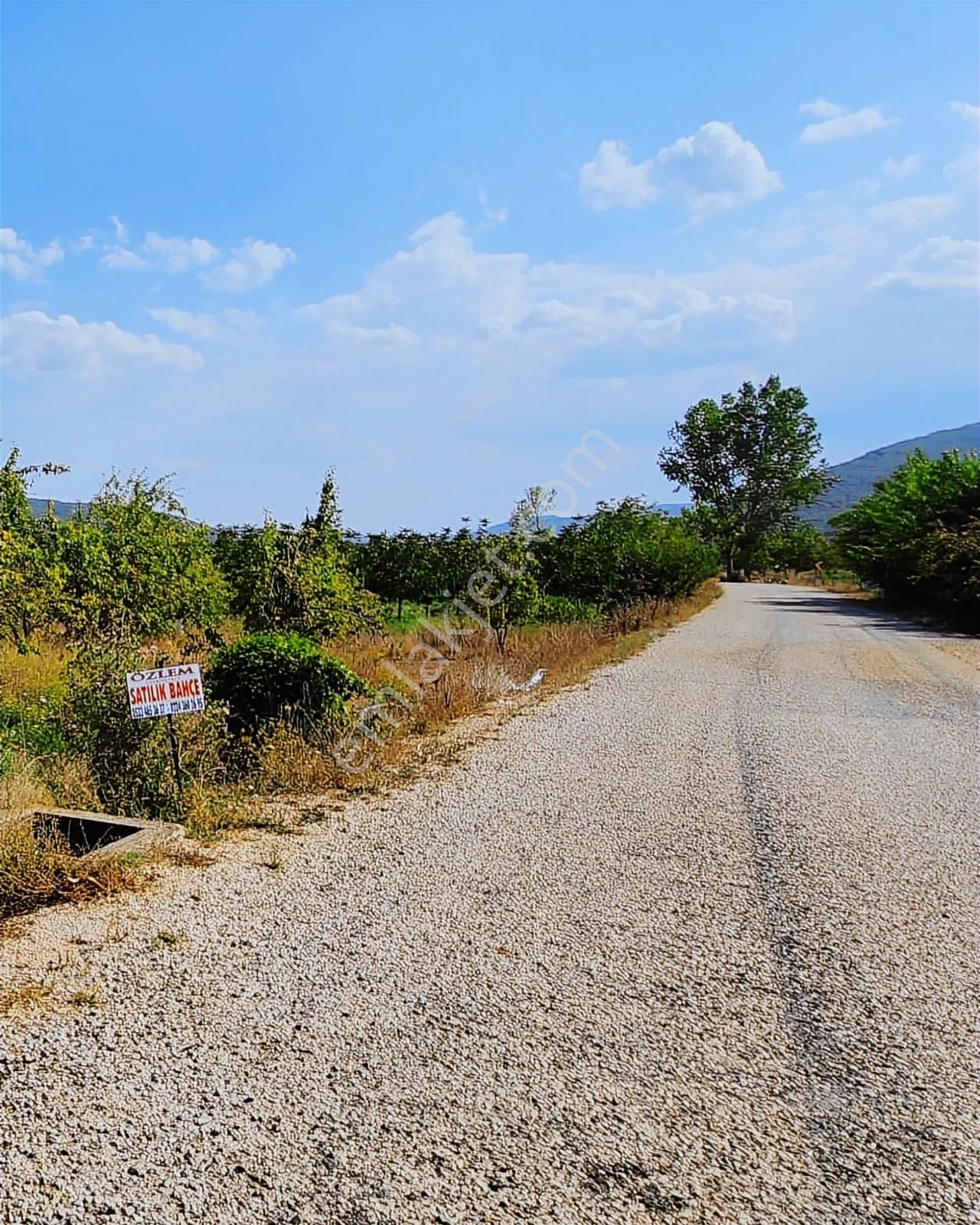 Özlem Emlaktan Satılık Tarlalar (burcun Mah.- Yenişehir) - Görsel 6
