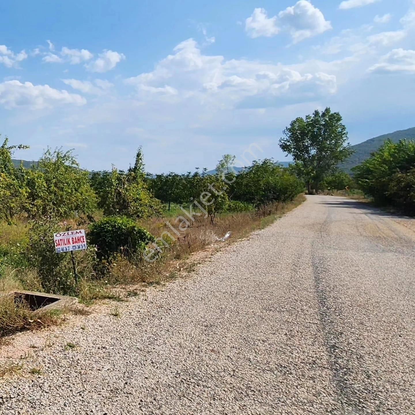 Özlem Emlaktan Satılık Tarlalar (burcun Mah.- Yenişehir) - Görsel 4