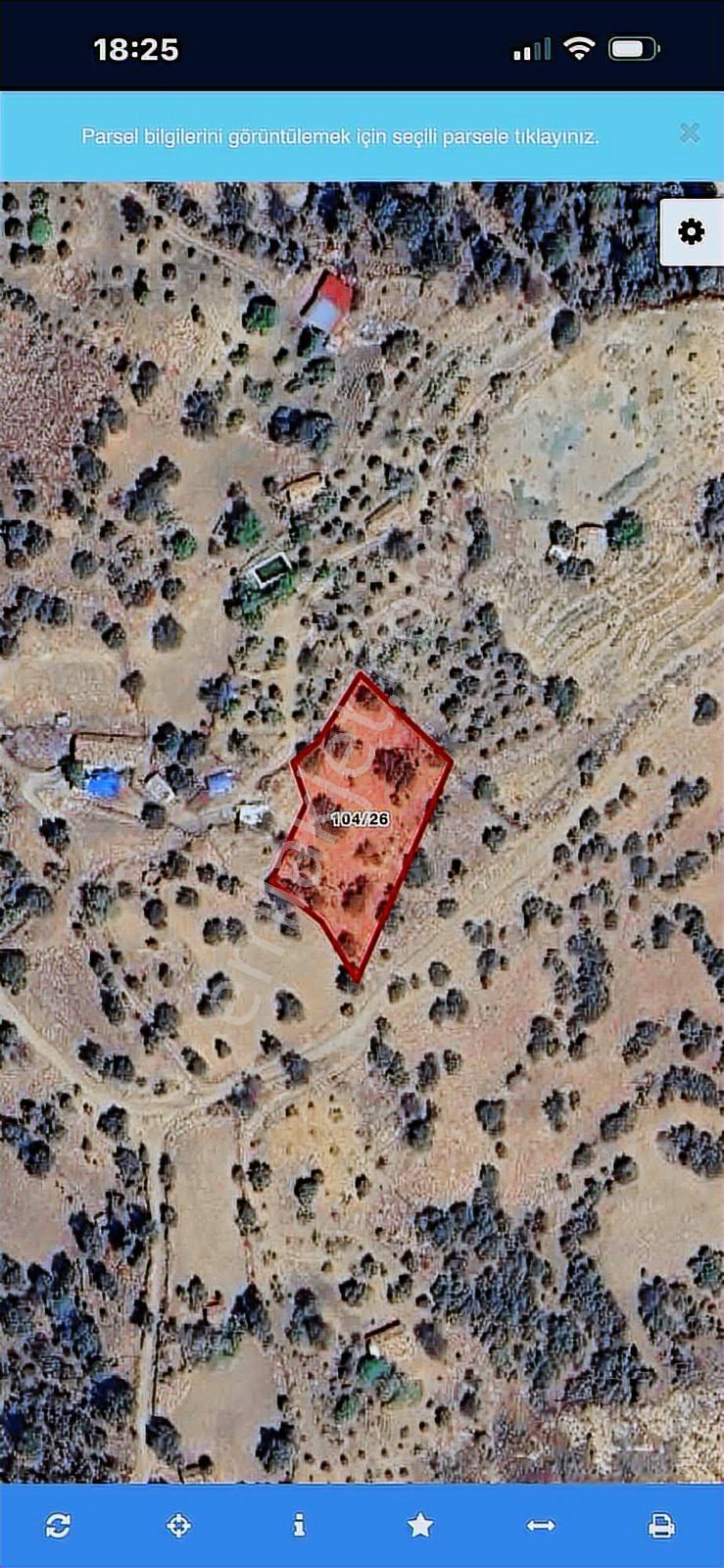 2184 Mt Arazi İçinde Eki Taş Evi Duvarları Duruyor.yolu Var
