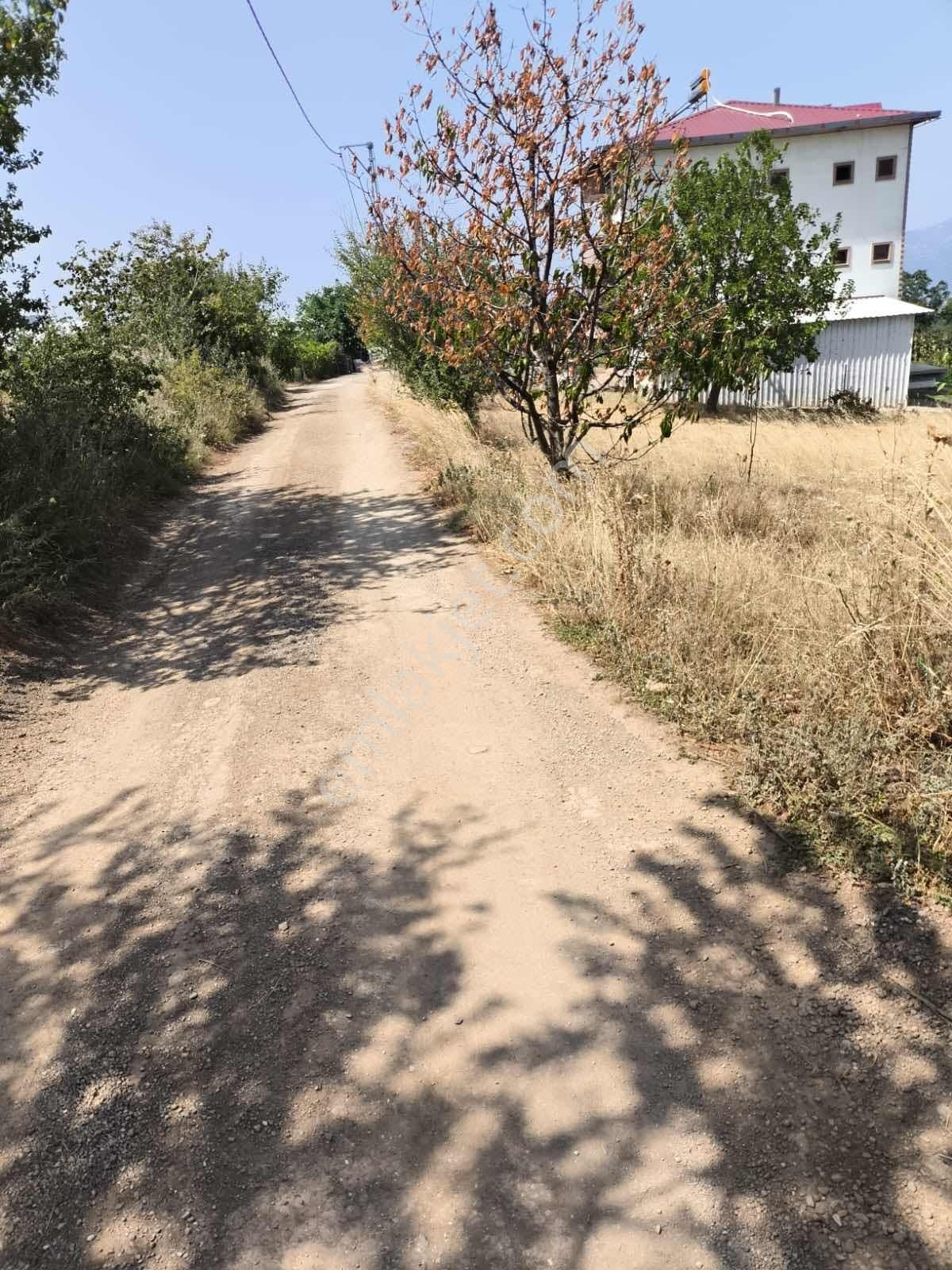 Bursa Kestel Lütfiye Mahlesinde Yatırımlık Tarla - Görsel 3