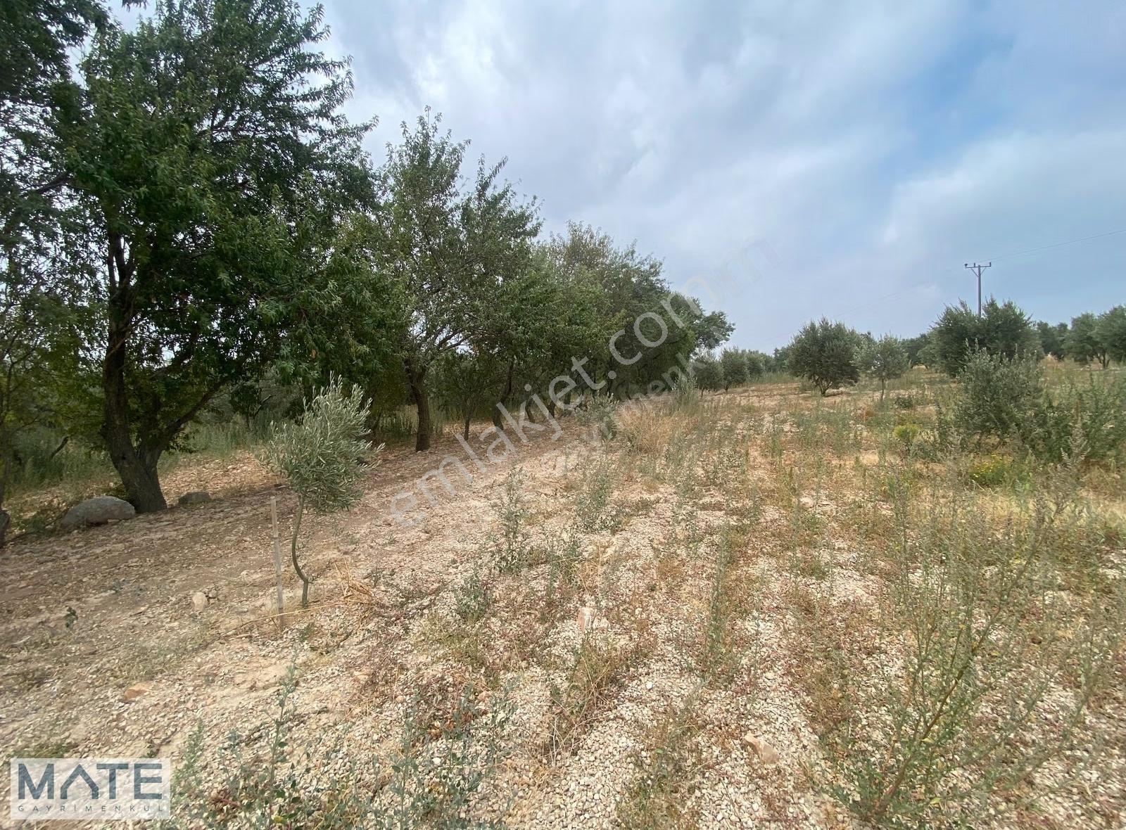 Bandırma-çanakkale Yol Yakını Edincik'de 1.514 M2 Fırsat Arazi - Görsel 8