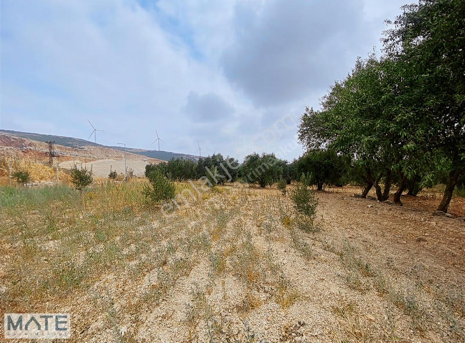 Bandırma-çanakkale Yol Yakını Edincik'de 1.514 M2 Fırsat Arazi - Görsel 26
