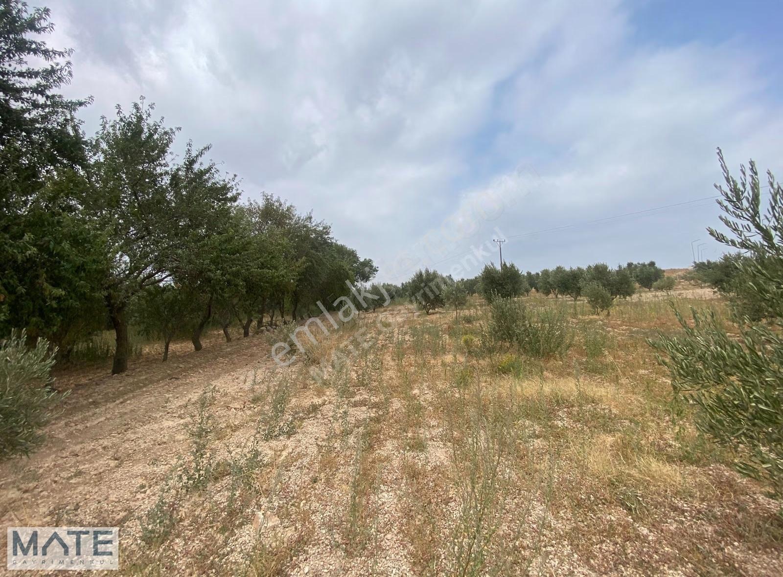 Bandırma-çanakkale Yol Yakını Edincik'de 1.514 M2 Fırsat Arazi - Görsel 13