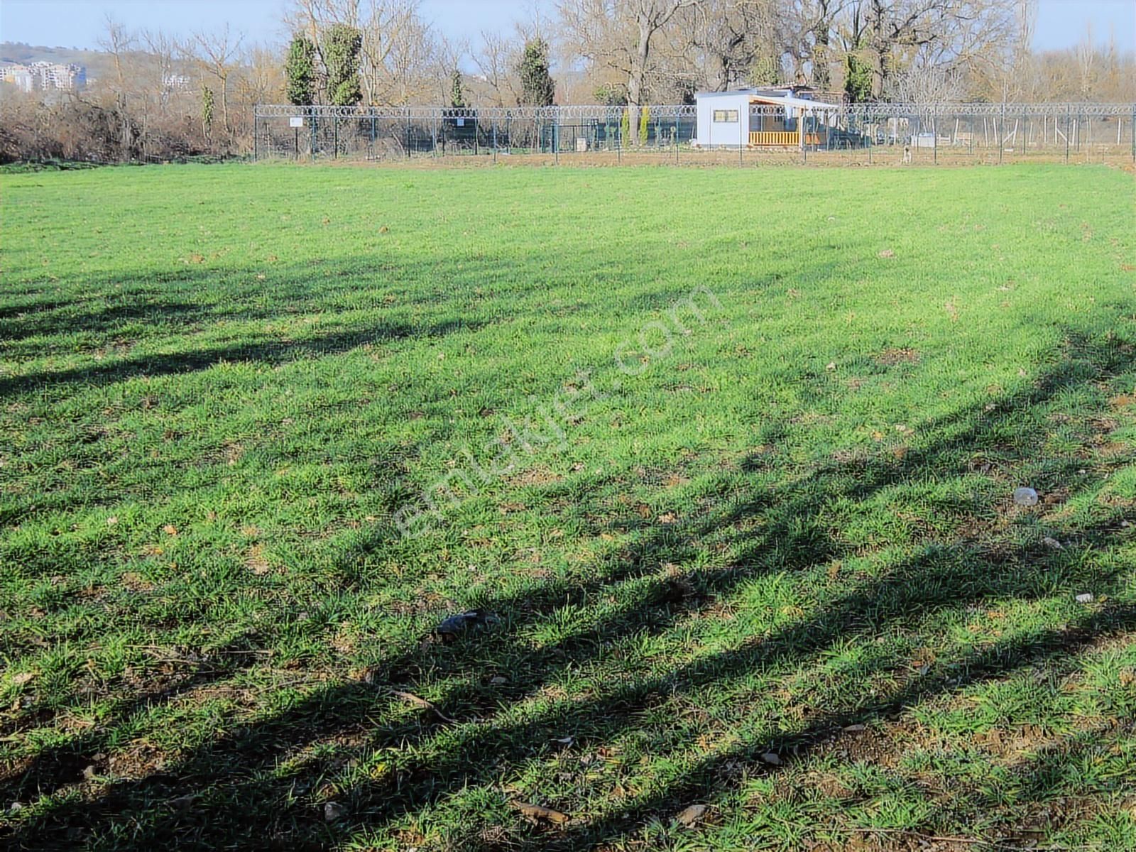 Kayapa Da Kadastro Yoluna Cephe 515 Tek Tapu Hobi Bahçesi - Görsel 13