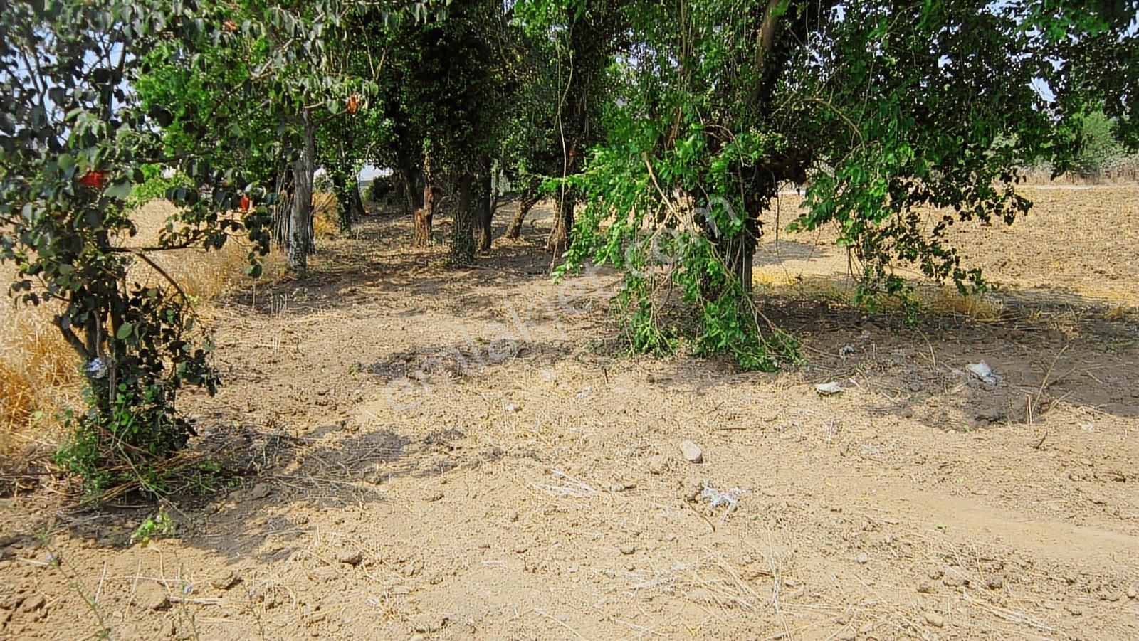 Kayapa Da Kadastro Yoluna Cephe 515 Tek Tapu Hobi Bahçesi - Görsel 29