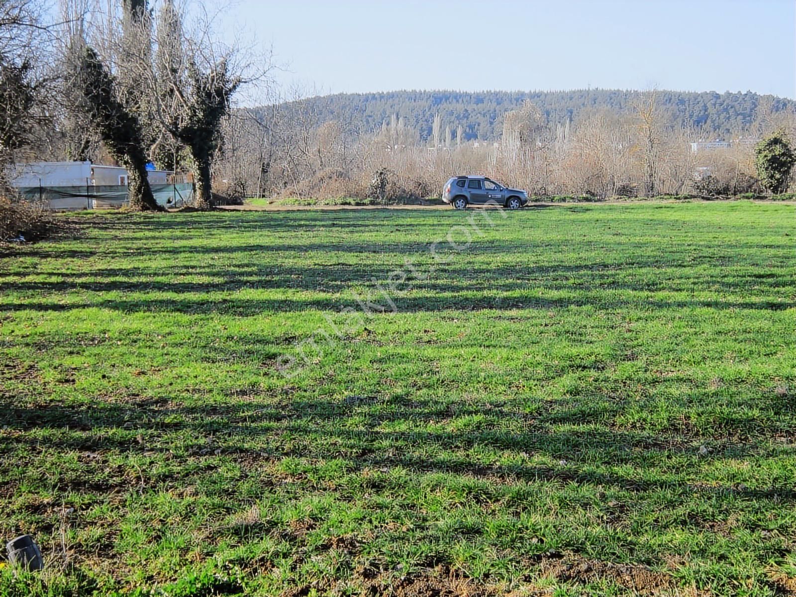Kayapa Da Kadastro Yoluna Cephe 515 Tek Tapu Hobi Bahçesi - Görsel 24