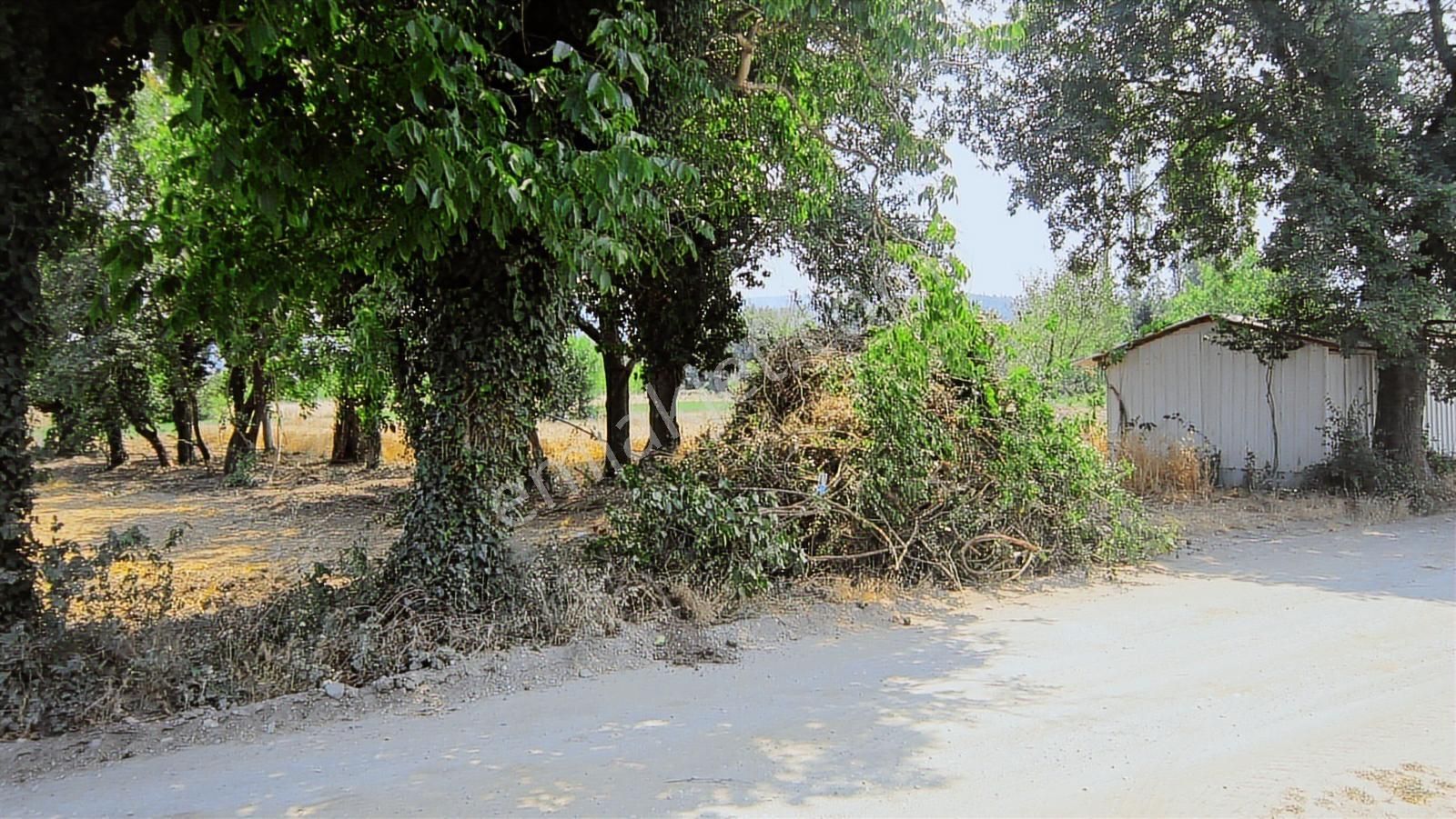 Kayapa Da Kadastro Yoluna Cephe 515 Tek Tapu Hobi Bahçesi - Görsel 27