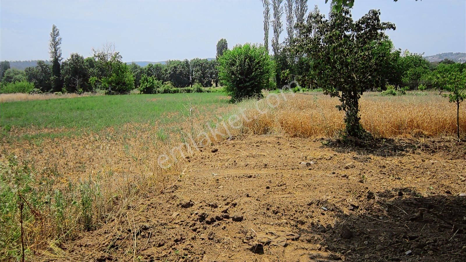 Kayapa Da Kadastro Yoluna Cephe 515 Tek Tapu Hobi Bahçesi - Görsel 15