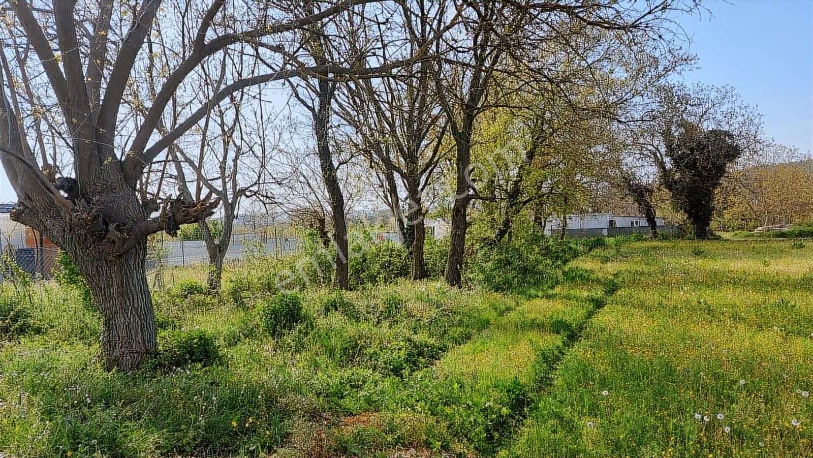 Kayapa Da Kadastro Yoluna Cephe 515 Tek Tapu Hobi Bahçesi - Görsel 10