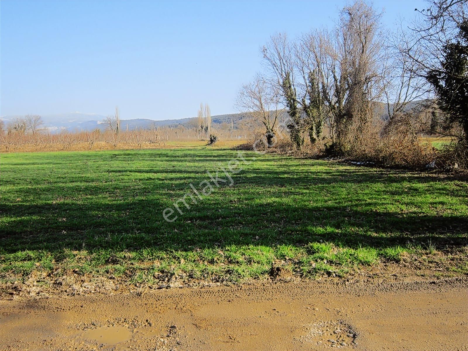 Kayapa Da Kadastro Yoluna Cephe 515 Tek Tapu Hobi Bahçesi - Görsel 23