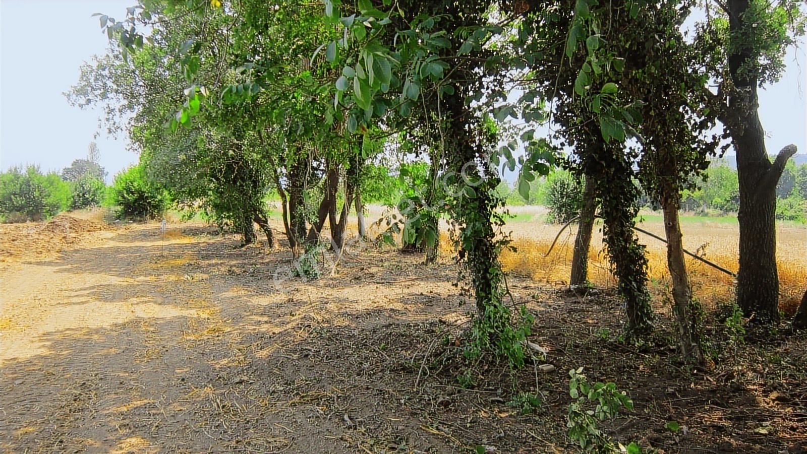 Kayapa Da Kadastro Yoluna Cephe 515 Tek Tapu Hobi Bahçesi - Görsel 28