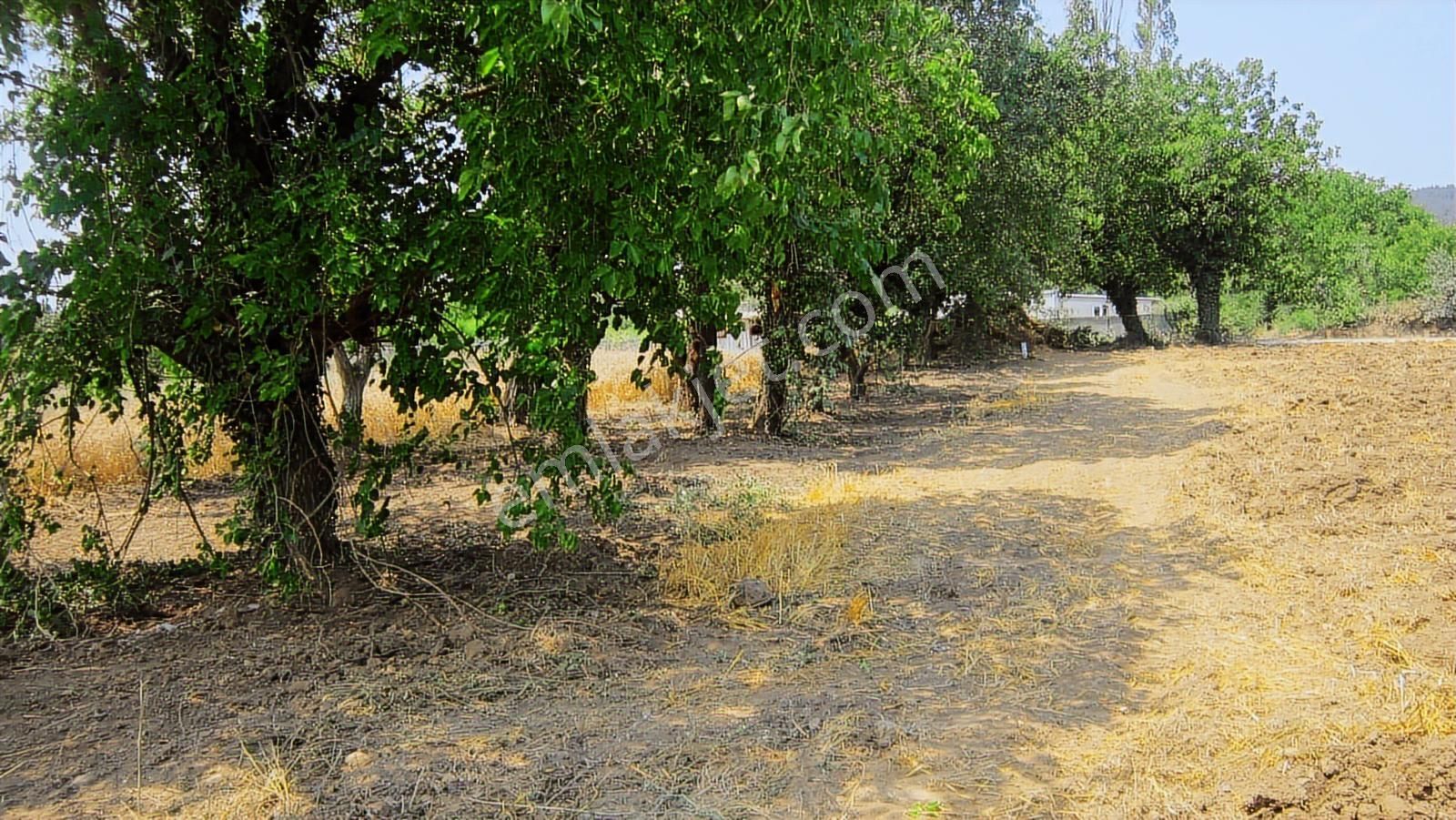 Kayapa Da Kadastro Yoluna Cephe 515 Tek Tapu Hobi Bahçesi - Görsel 14