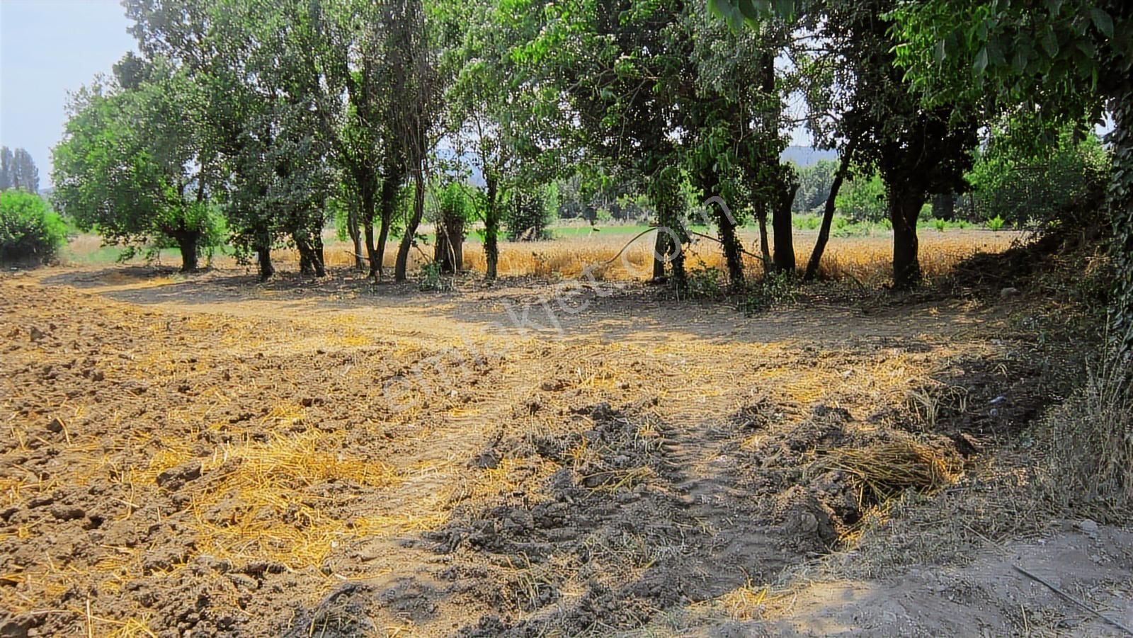 Kayapa Da Kadastro Yoluna Cephe 515 Tek Tapu Hobi Bahçesi - Görsel 21
