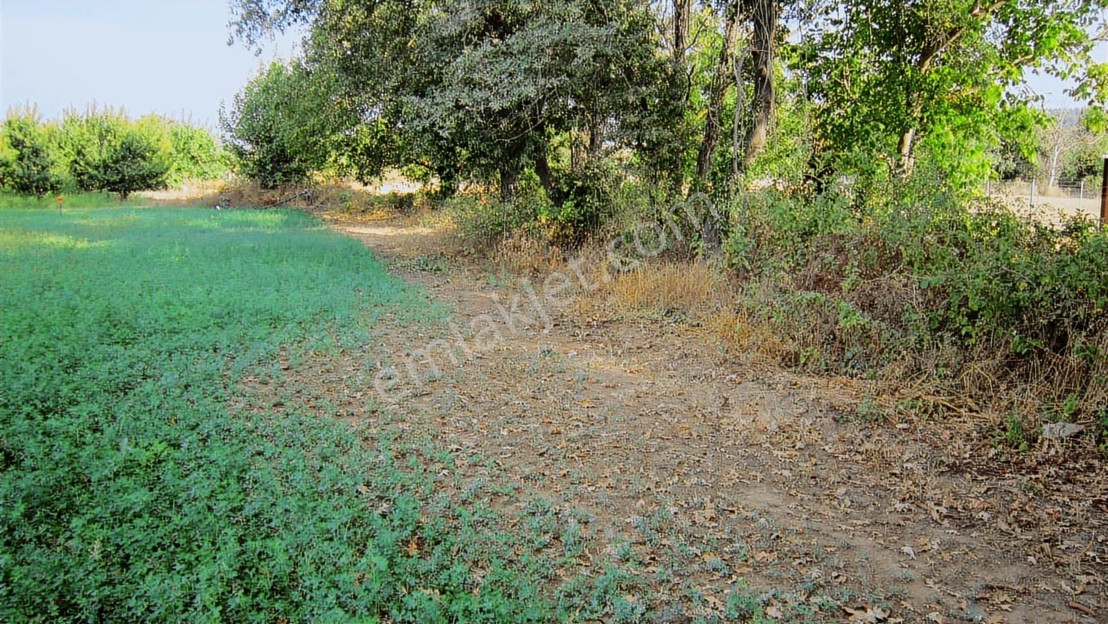 Kayapa Da Kadastro Yoluna Cephe 515 Tek Tapu Hobi Bahçesi - Görsel 34