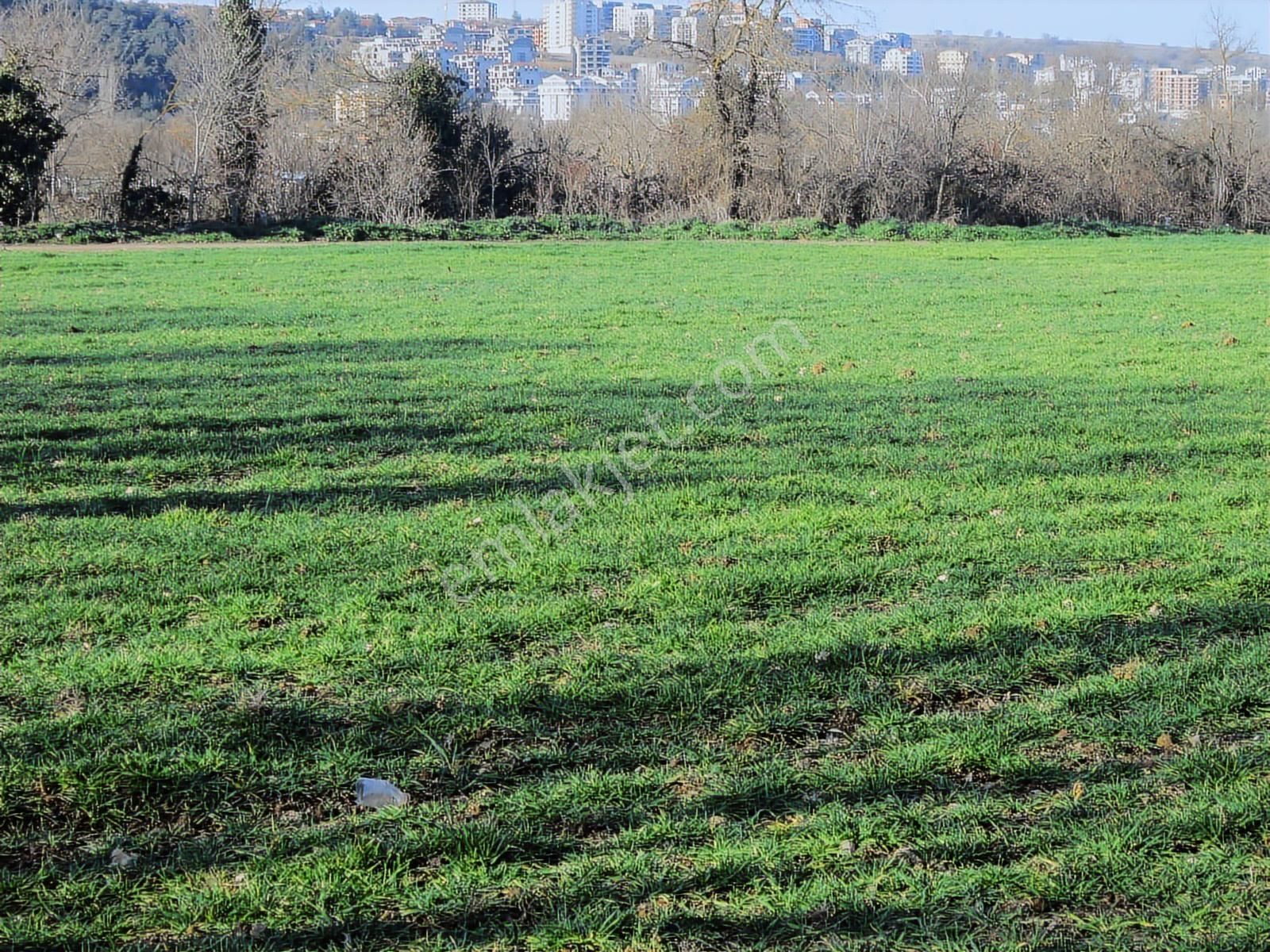 Kayapa Da Kadastro Yoluna Cephe 515 Tek Tapu Hobi Bahçesi - Görsel 33