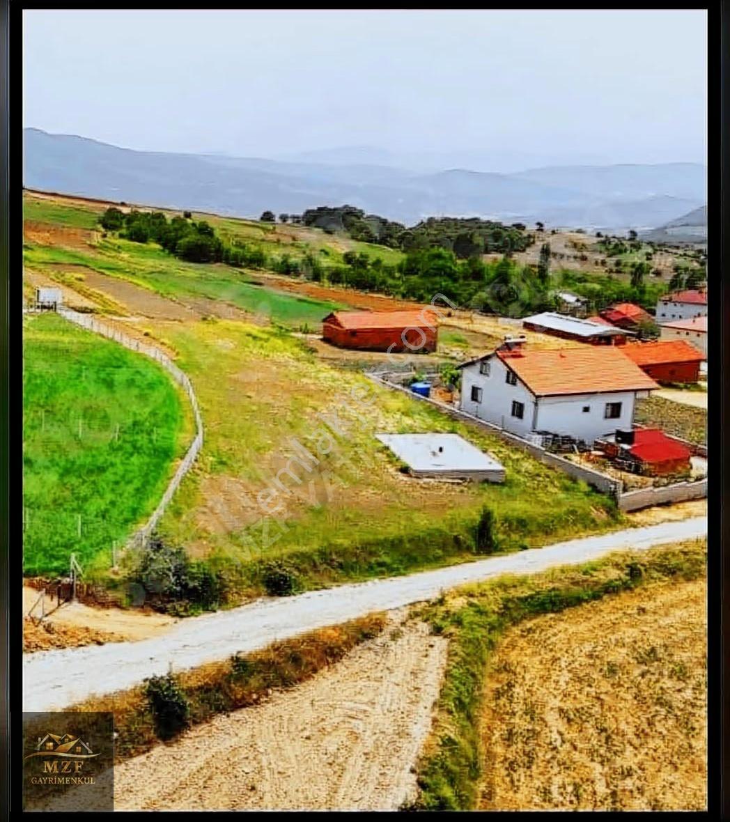 Sakarya Halidiye Mahallesinde Elektrik Su Çekili Satılık Arsa