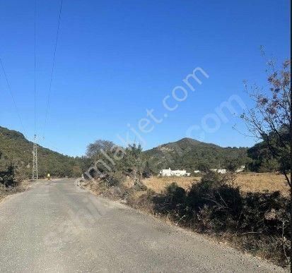 Çanakkale Merkez Haliloğlu Köyünde Yola Cepheli 8 Dönüm Satılık Tarla - Görsel 11