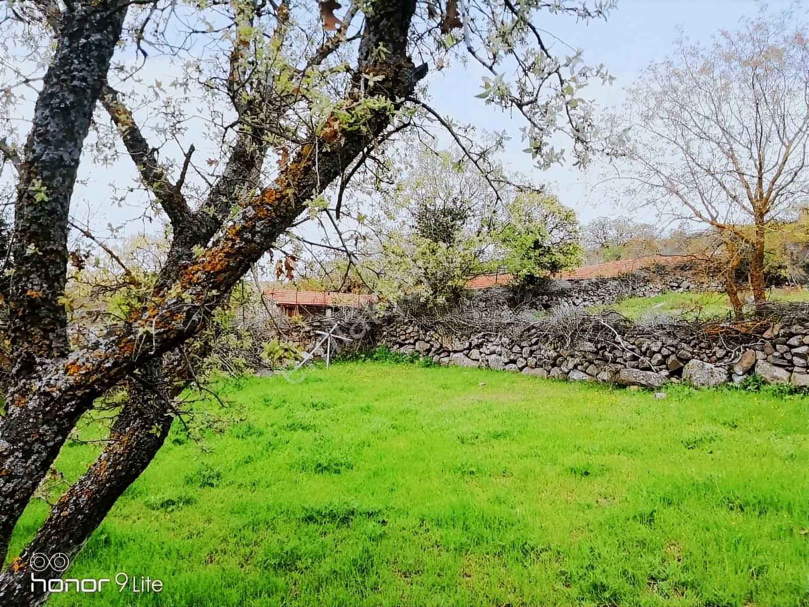 Bergama İsmaillide(denize 27km Uzaklıkta)köyiçi İmarlıarsa-330m