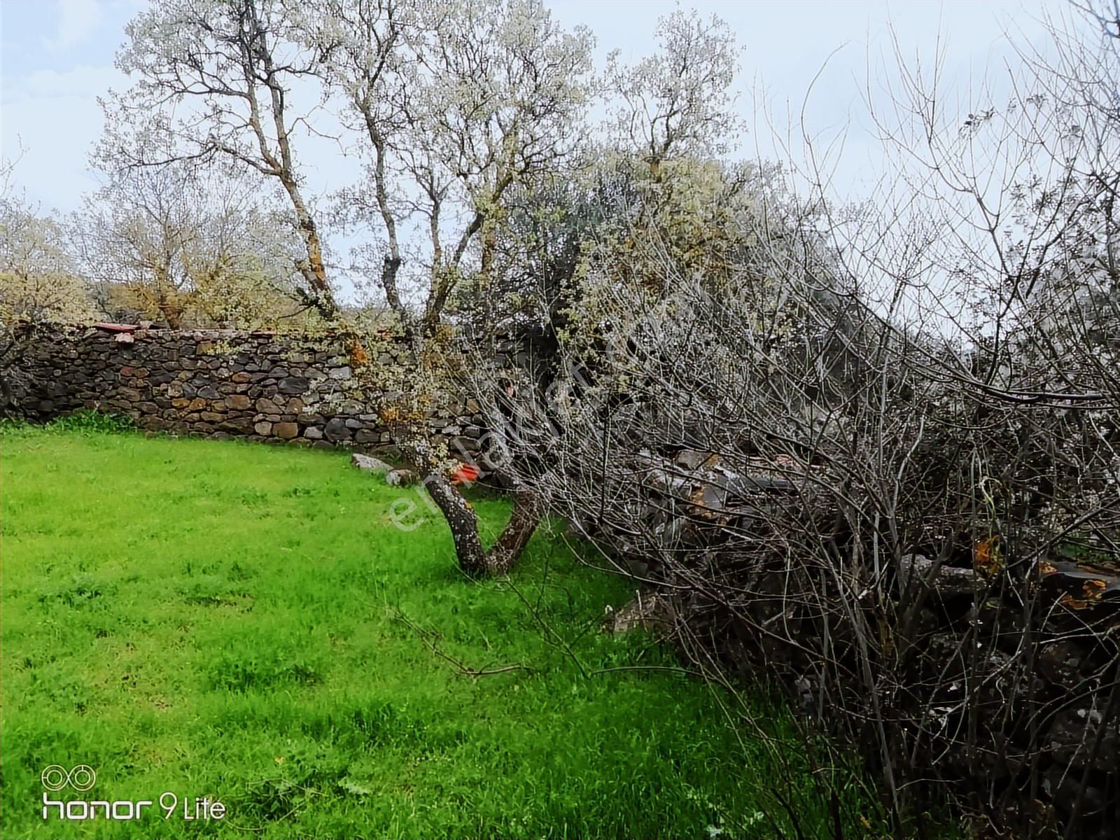 Bergama İsmaillide(denize 27km Uzaklıkta)köyiçi İmarlıarsa-330m - Görsel 6