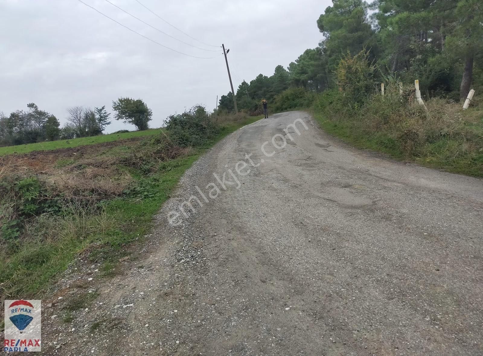 Remax | Parla Tamamı Satılık 14.5 Dönüm Tarla 19 Mayıs Tepeköy - Görsel 9