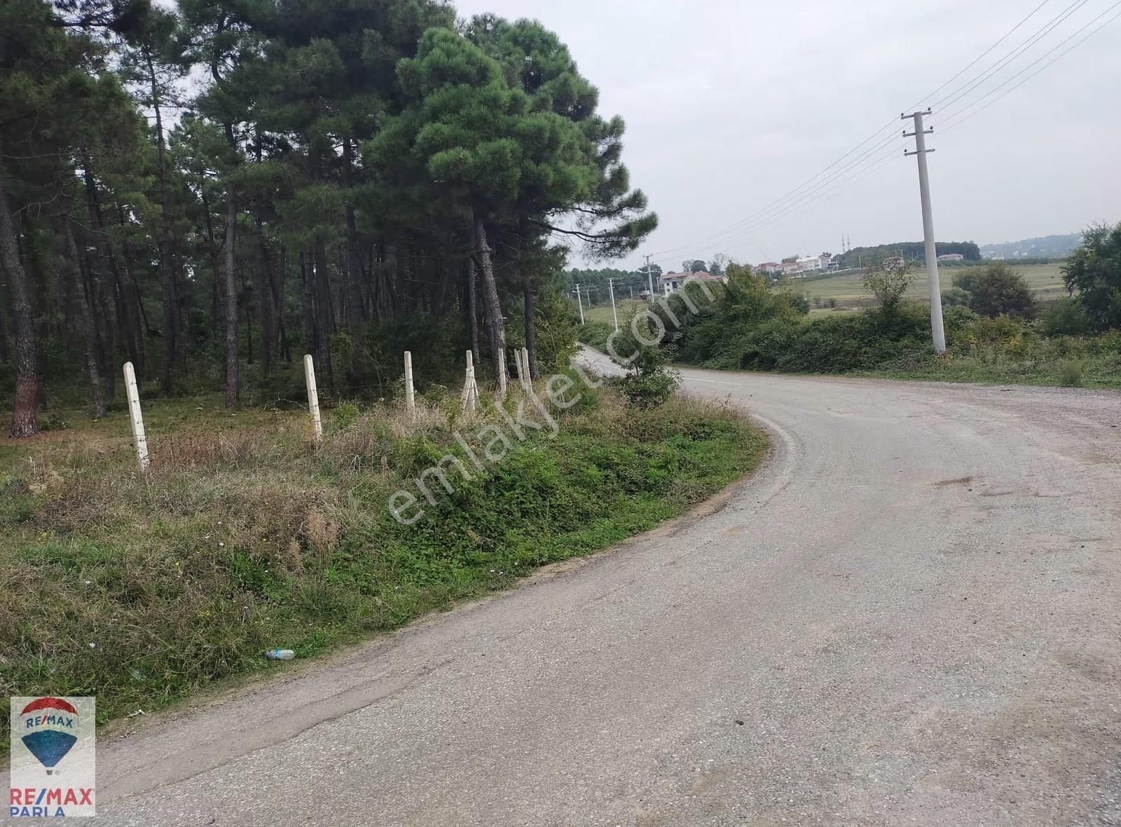 Remax | Parla Tamamı Satılık 14.5 Dönüm Tarla 19 Mayıs Tepeköy - Görsel 4