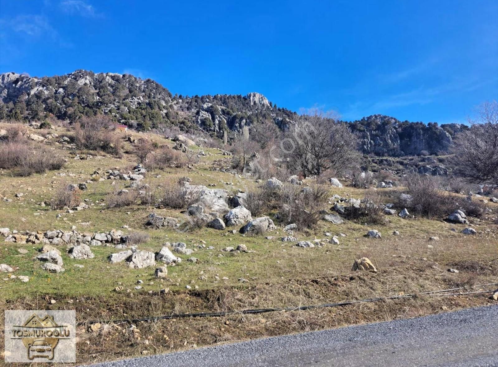 Alanya İmamlı Yaylasında Satılık Tarla Yatırıma Uygun - Görsel 3