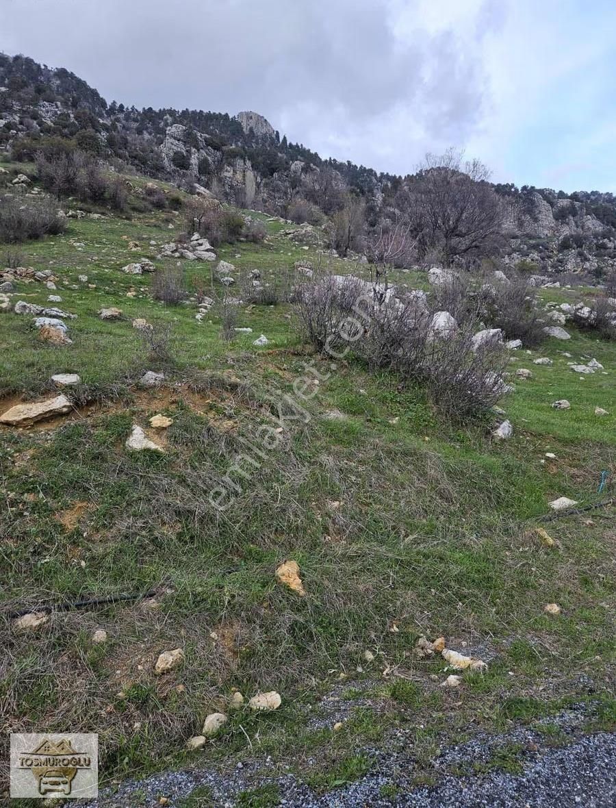 Alanya İmamlı Yaylasında Satılık Tarla Yatırıma Uygun - Görsel 9