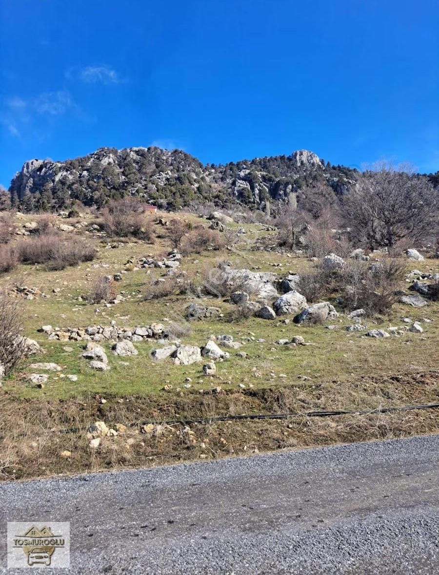 Alanya İmamlı Yaylasında Satılık Tarla Yatırıma Uygun - Görsel 5