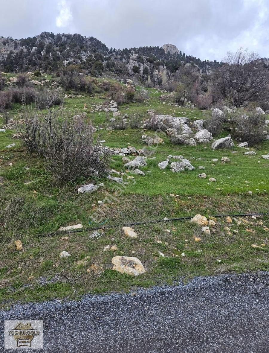 Alanya İmamlı Yaylasında Satılık Tarla Yatırıma Uygun - Görsel 6