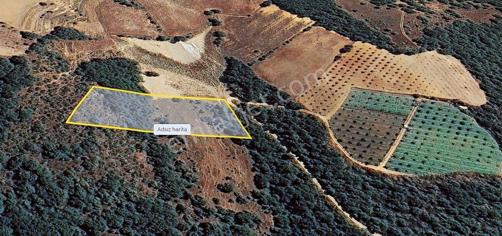 İznik Mahmudiye'de Orman İçi Yolu Açık Tarla - Görsel 4