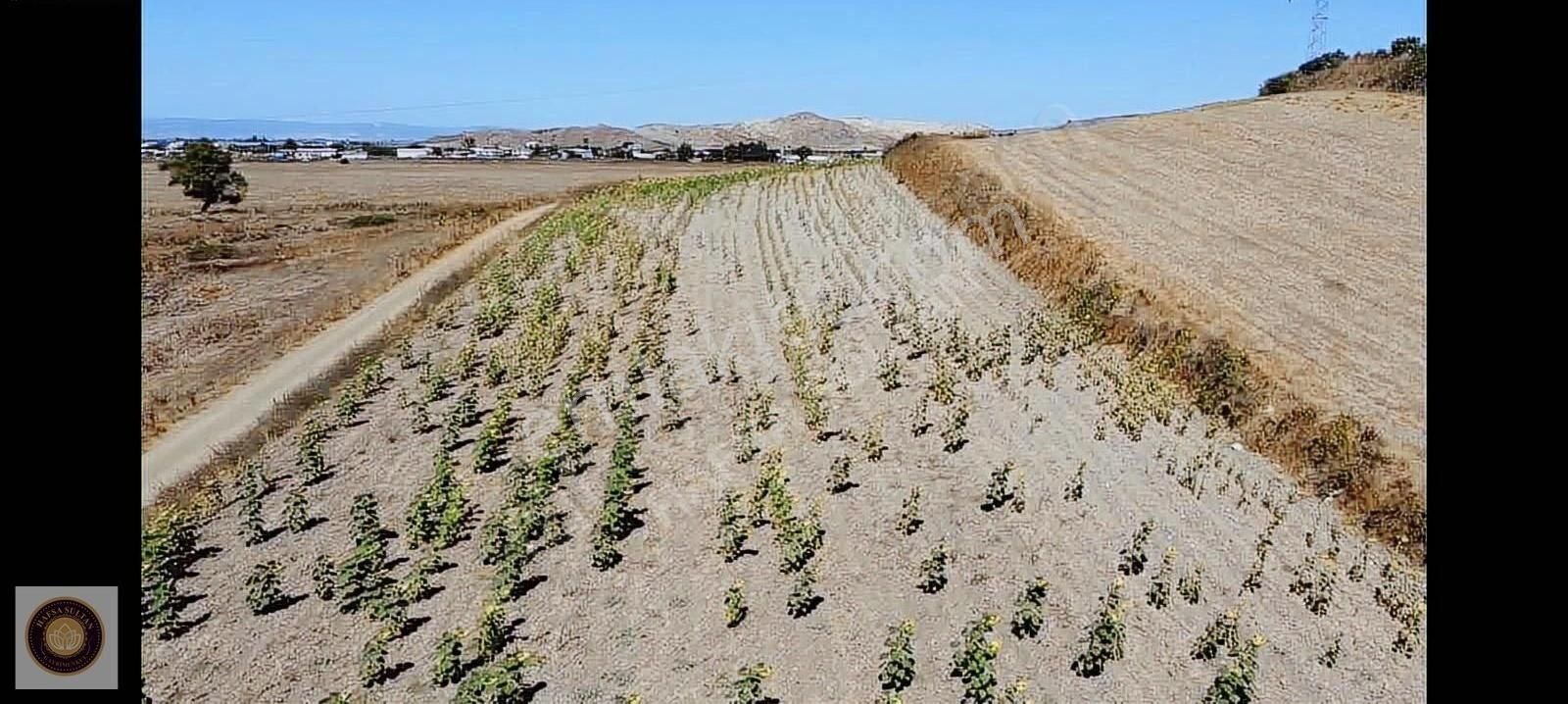 Yenişehir Barcın Mh Satılık 10.200m2 Köşe Başı 5 Tapu - Görsel 8