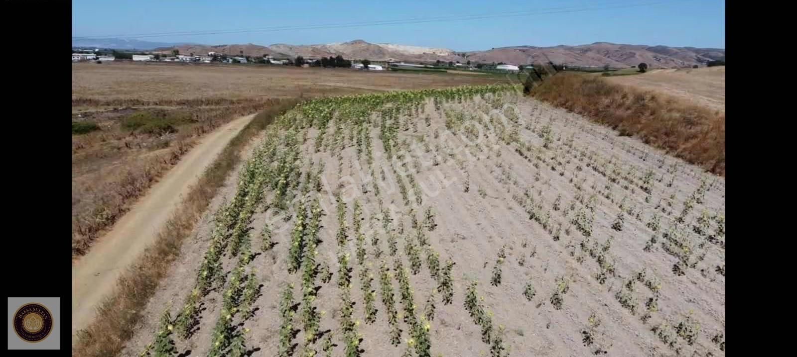 Yenişehir Barcın Mh Satılık 10.200m2 Köşe Başı 5 Tapu - Görsel 10