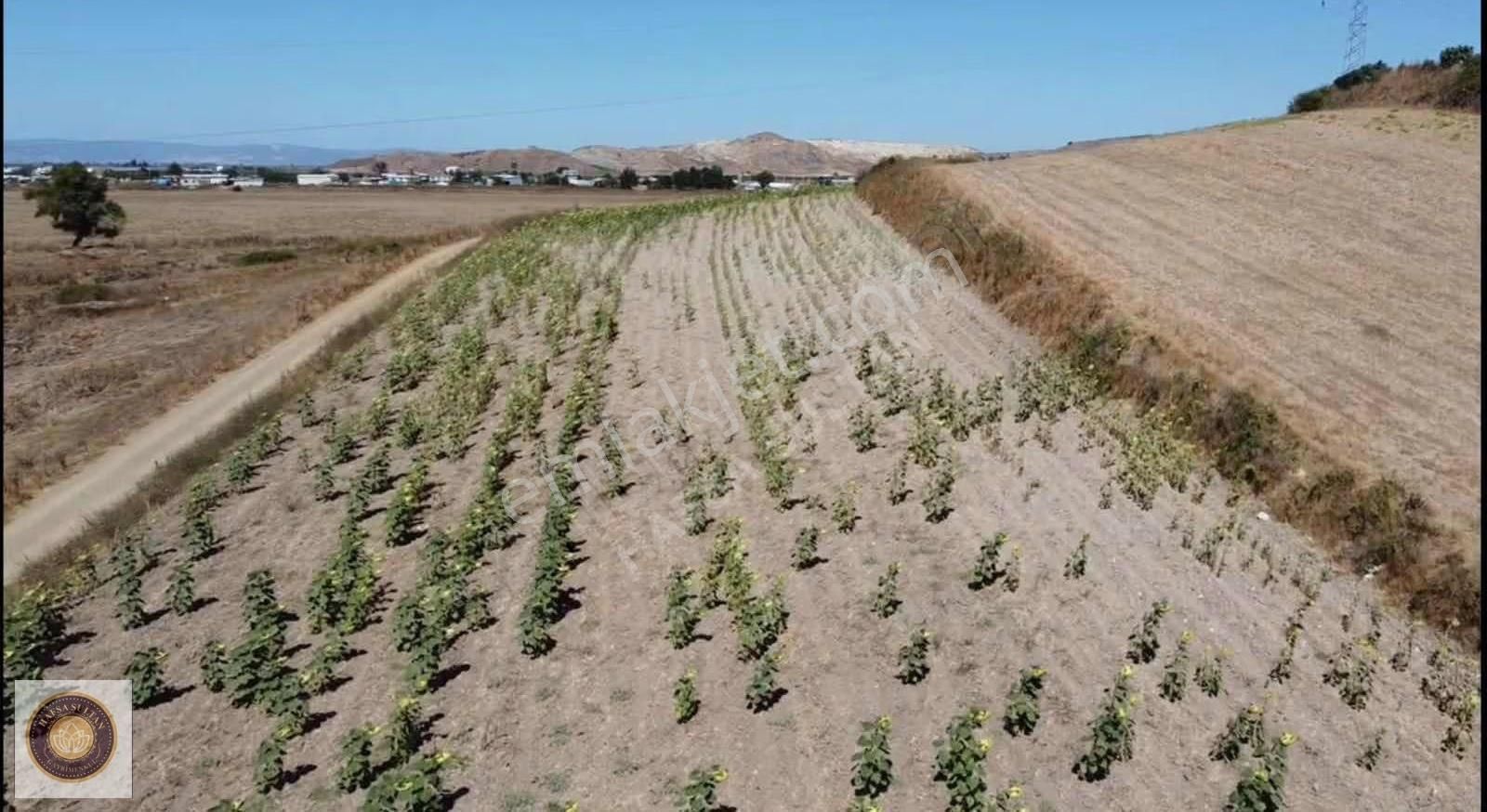 Yenişehir Barcın Mh Satılık 10.200m2 Köşe Başı 5 Tapu - Görsel 4